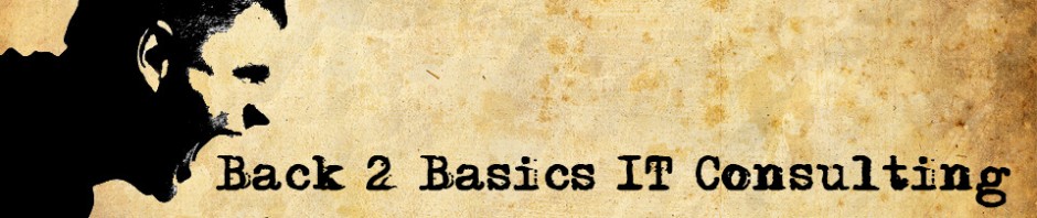 Back 2 Basics IT Consulting